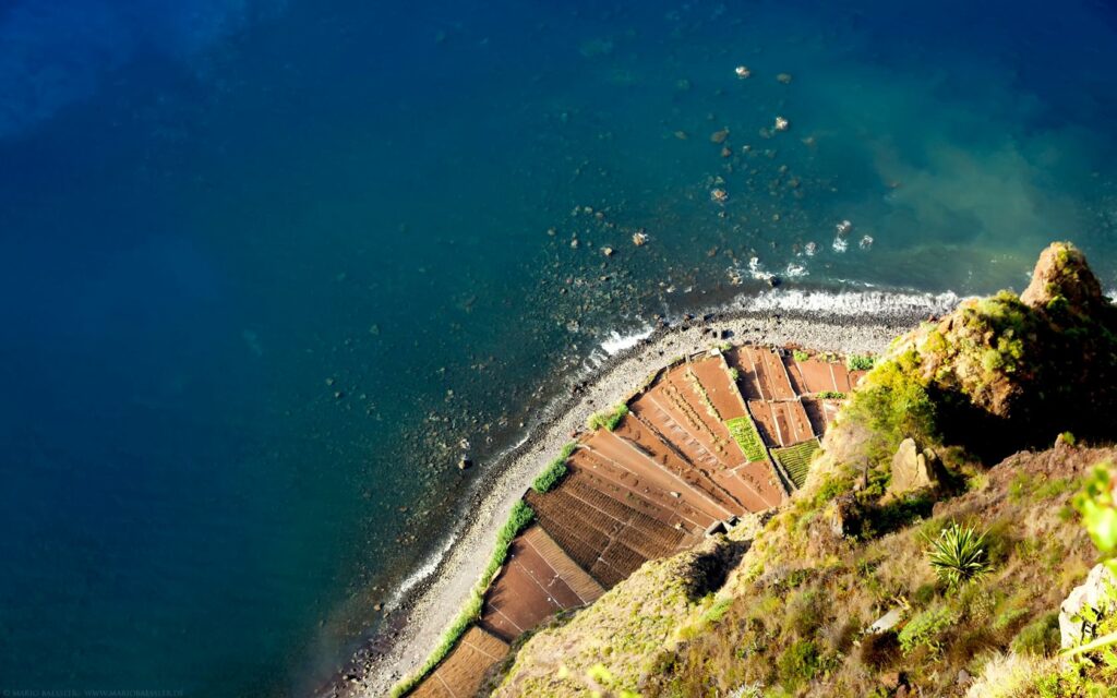 Aerial view of terraced fields on rugged coastline blending green terraces with blue ocean Wallpaper