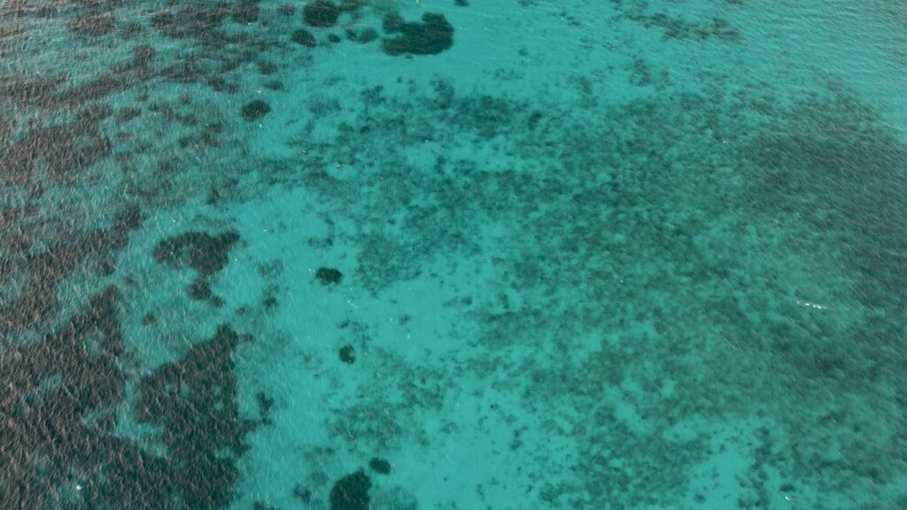 Aerial view of sea bottom with turquoise ripples and dark coral underwater wallpaper background