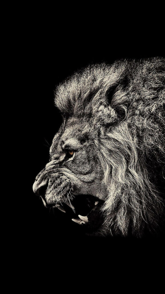 Fierce Angry Lion iPhone Wallpaper on Dark Background