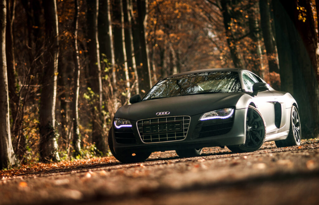 Audi R8 V10: Elegant Sports Car in Autumn Forest Setting Wallpaper