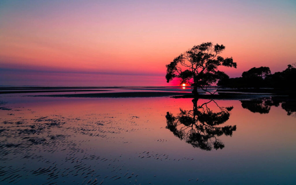 Breathtaking Australian Beach Sunset Wallpaper with Reflected Tree