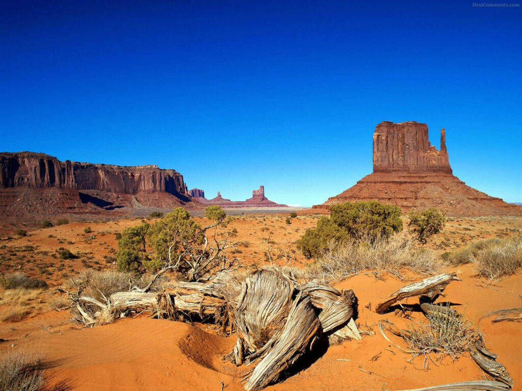 Vibrant Australian Outback landscape with red sand, rugged rocks, desert shrubs, and blue sky Wallpaper