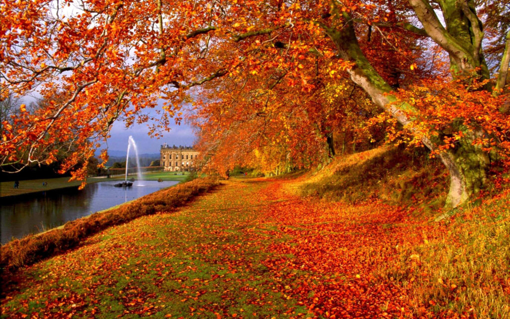 Autumn at Chatsworth: Scenic Desktop Wallpaper with Fall Foliage