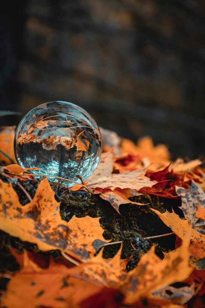 Stunning Wallpaper: Glass Ball on Vibrant Autumn Foliage