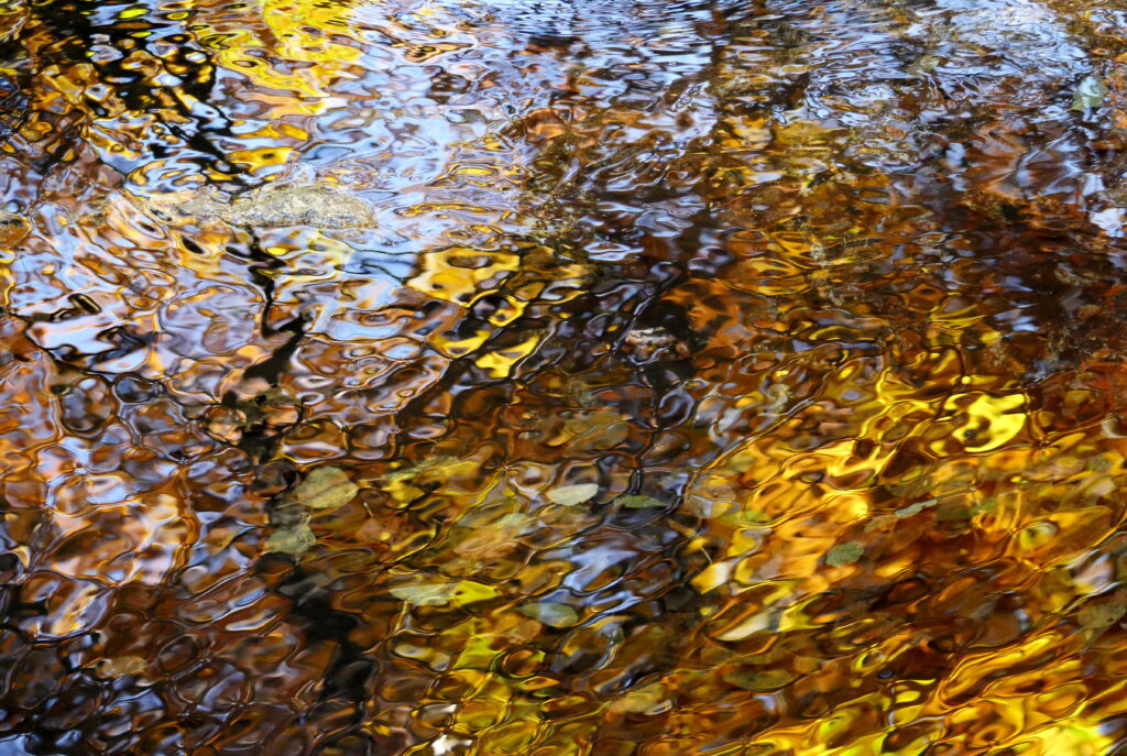 Mesmerizing Autumn Water Ripples Wallpaper Background