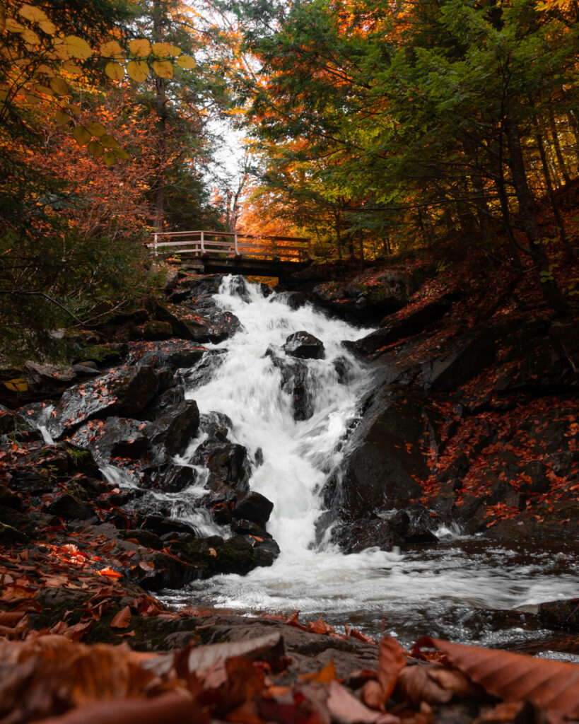 Autumn Waterfall Wallpaper: Serene Cascade Among Vibrant Foliage