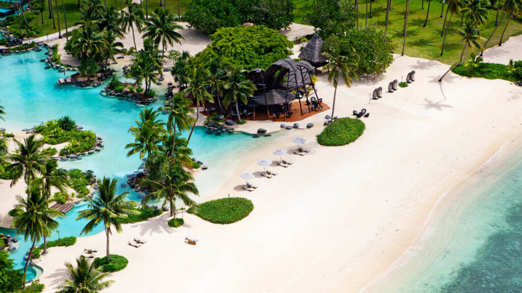 Tropical Beach Paradise: Crystal-Clear Waters & Lush Palms Wallpaper
