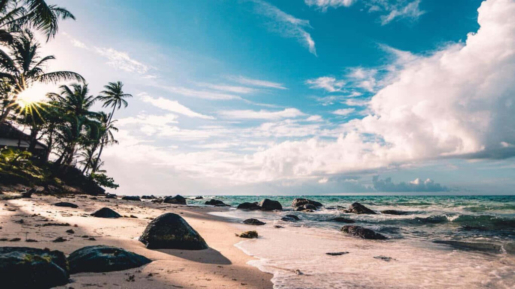 Stunning Beach Scene HD Wallpaper: Crystal Waters & Palm Trees