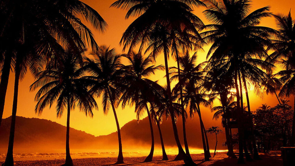 Tropical Beach Sunset Wallpaper with Silhouetted Palm Trees