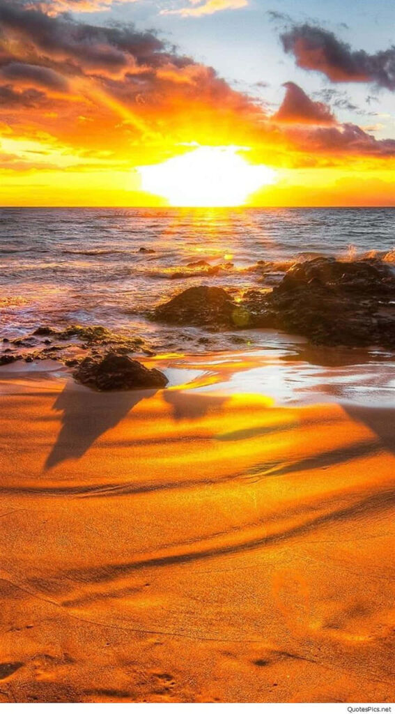 Stunning Beach Sunset iPhone Wallpaper - Tropical Escape Background