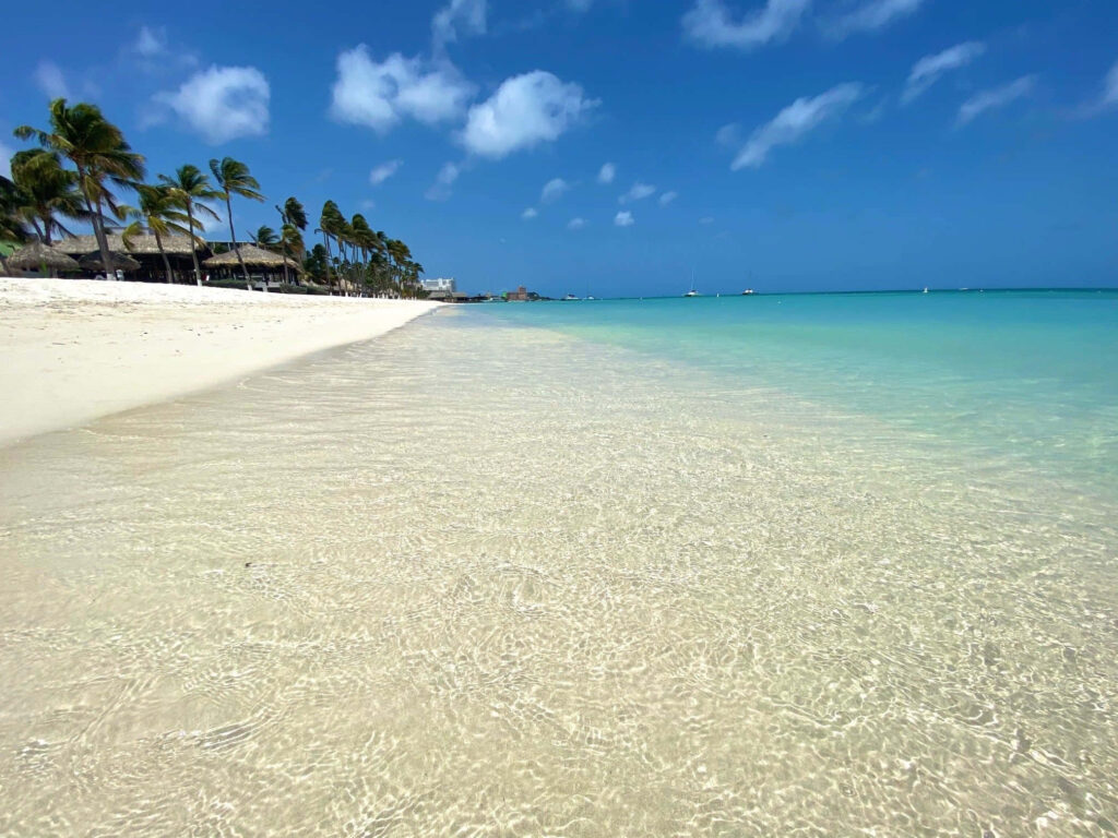 Stunning Beach Wallpaper: Clear Ocean, Sandy Shore & Palm Trees