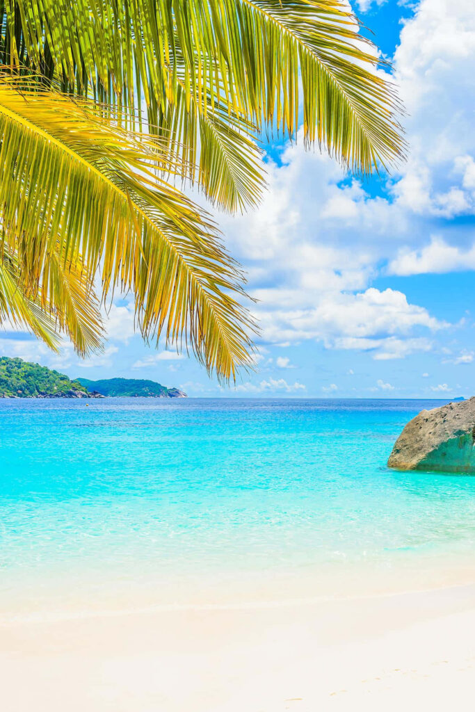 Stunning Beach Wallpaper: Turquoise Waters & Lush Greenery Scene