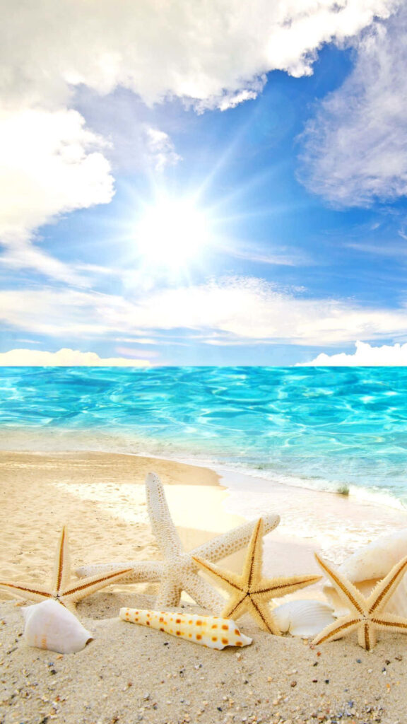 Serene Beach View: Golden Sands, Starfish & Turquoise Ocean Wallpaper