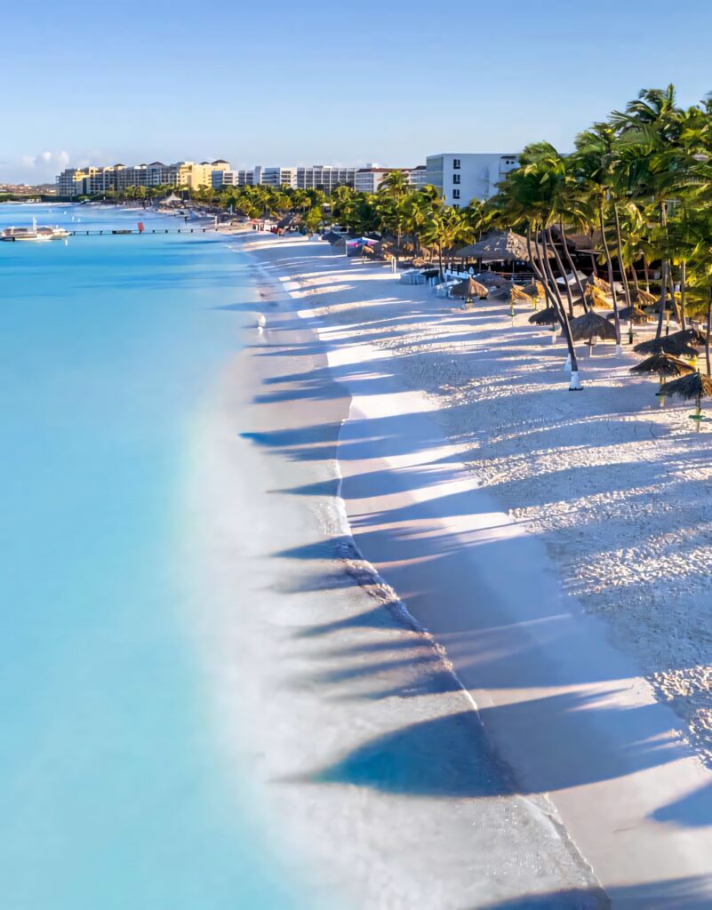 Stunning Beach Wallpaper: Palm Trees & Turquoise Waters