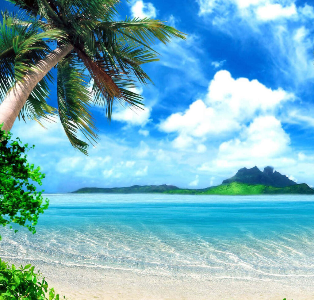 Stunning Beach Wallpaper: Turquoise Waters & Lush Palm Trees