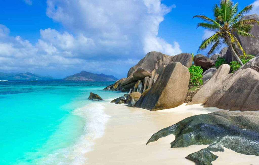 Stunning Beach Wallpaper: Turquoise Waters & Lush Palm Trees