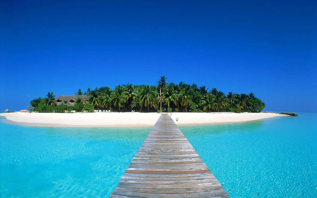 Picturesque Beach Wallpaper: Pathway to Tropical Paradise