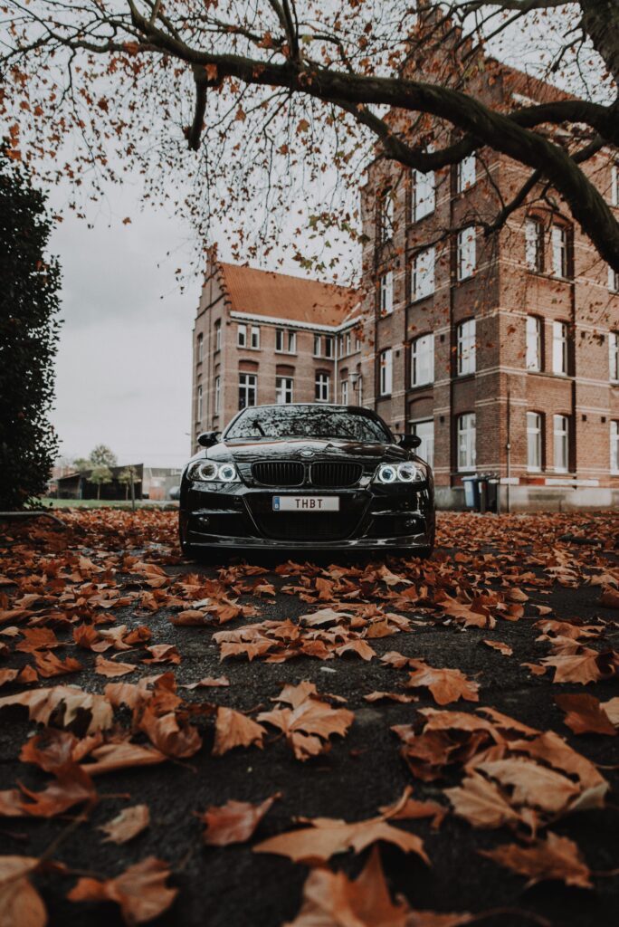Elegant Black BMW M3 in Autumn: Striking Wallpaper Scene