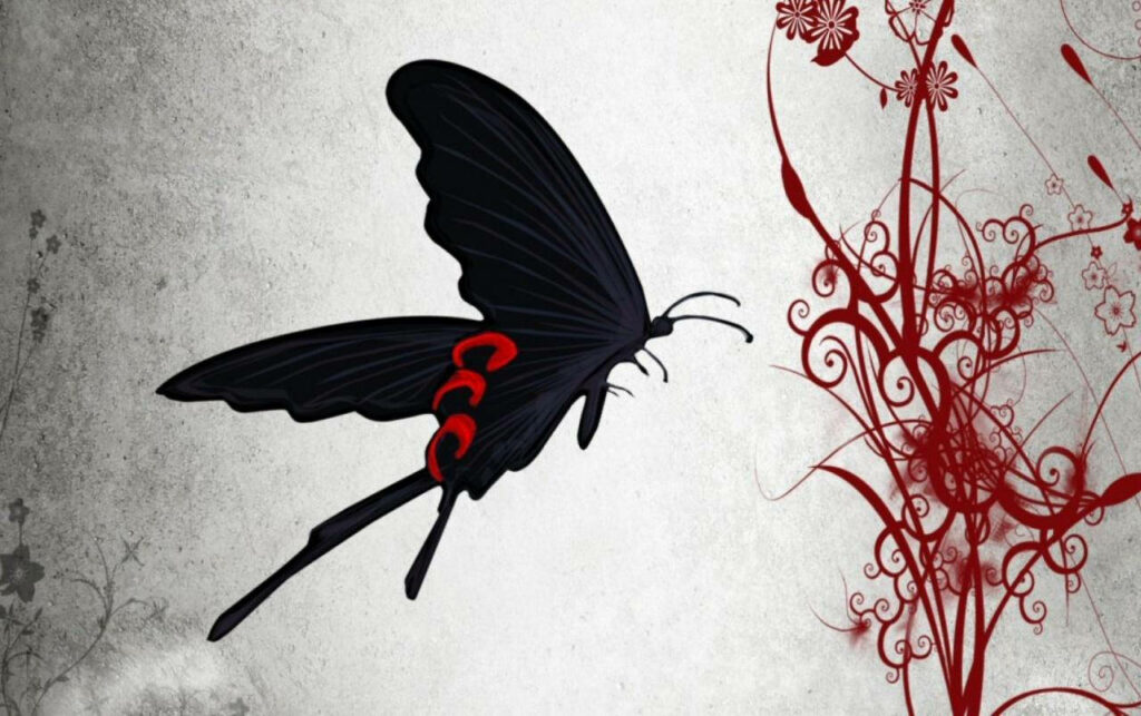 Stunning Black Butterfly Wallpaper with Red Floral Design Background