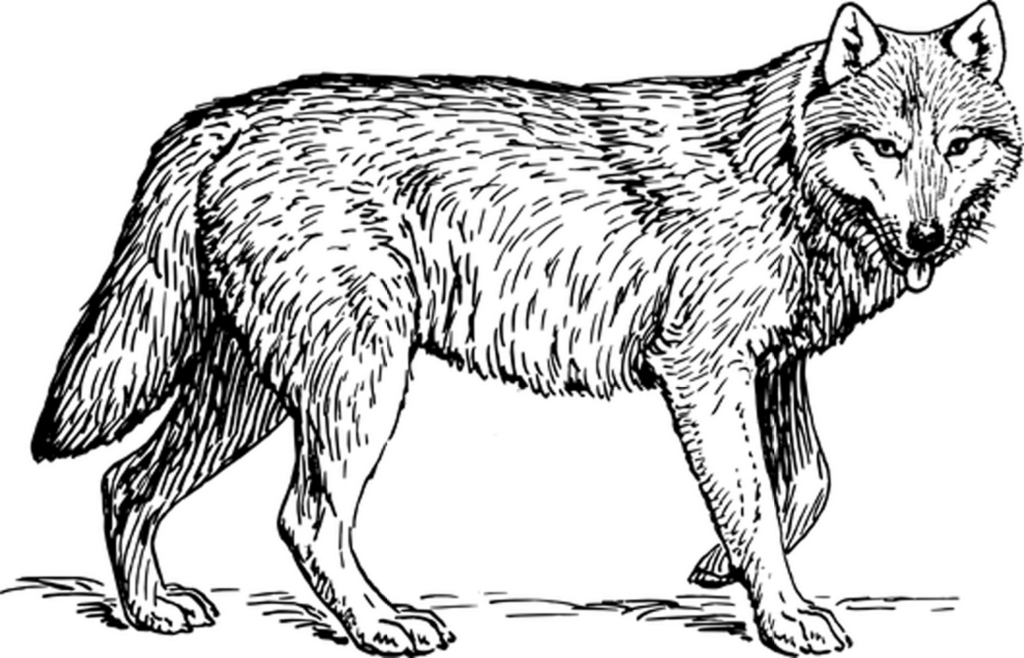 Solid Black Background Image for Design and Creative Projects Wallpaper