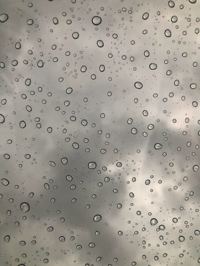 Stunning Macro Black-and-White Wallpaper with Water Droplets