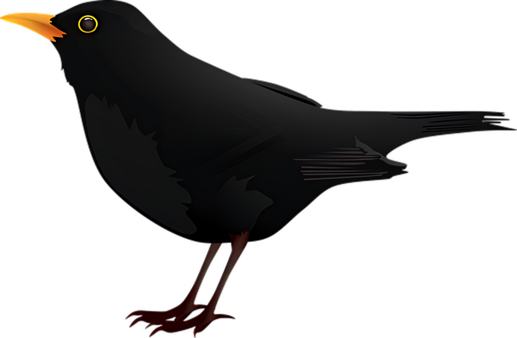 Vector Blackbird Wallpaper: Sleek Feathers & Bright Yellow Eye Design