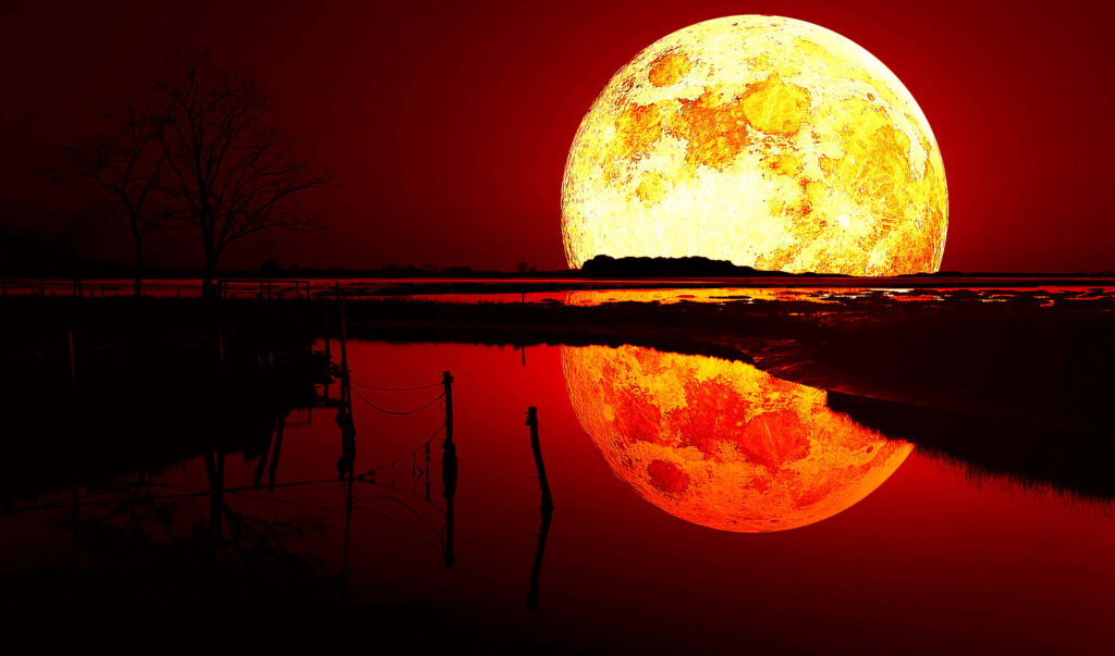 Captivating Blood Moon Rising Wallpaper: Fiery Red Reflection & Serenity
