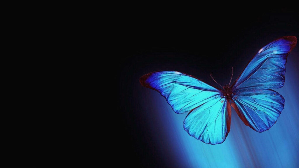 Glowing Blue Butterfly Wallpaper: Ethereal Aesthetic on Dark Background