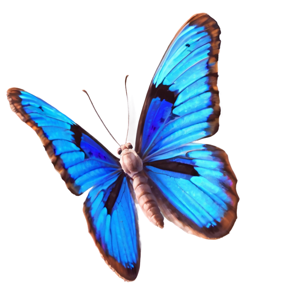 Realistic Blue Butterfly Wallpaper with Intricate Wing Patterns