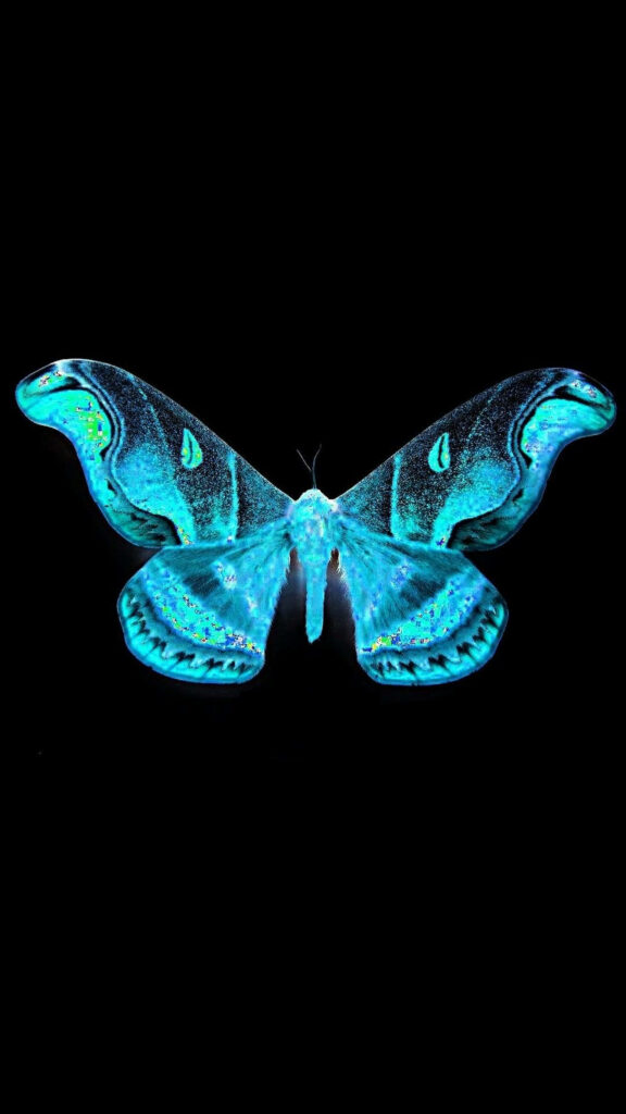 Vibrant Blue Butterfly Aesthetic Wallpaper on Dark Background