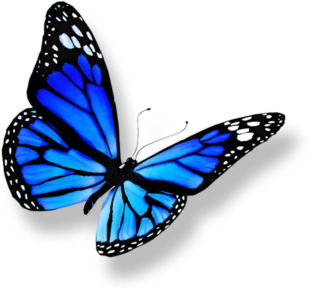 Vibrant Blue Butterfly with Black & White Patterns - Wallpaper Background