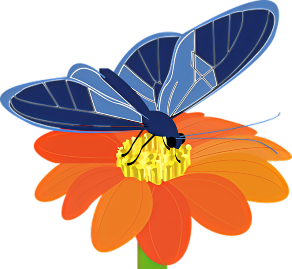 Vibrant Blue Butterfly on Orange Flower - Colorful Wallpaper Background