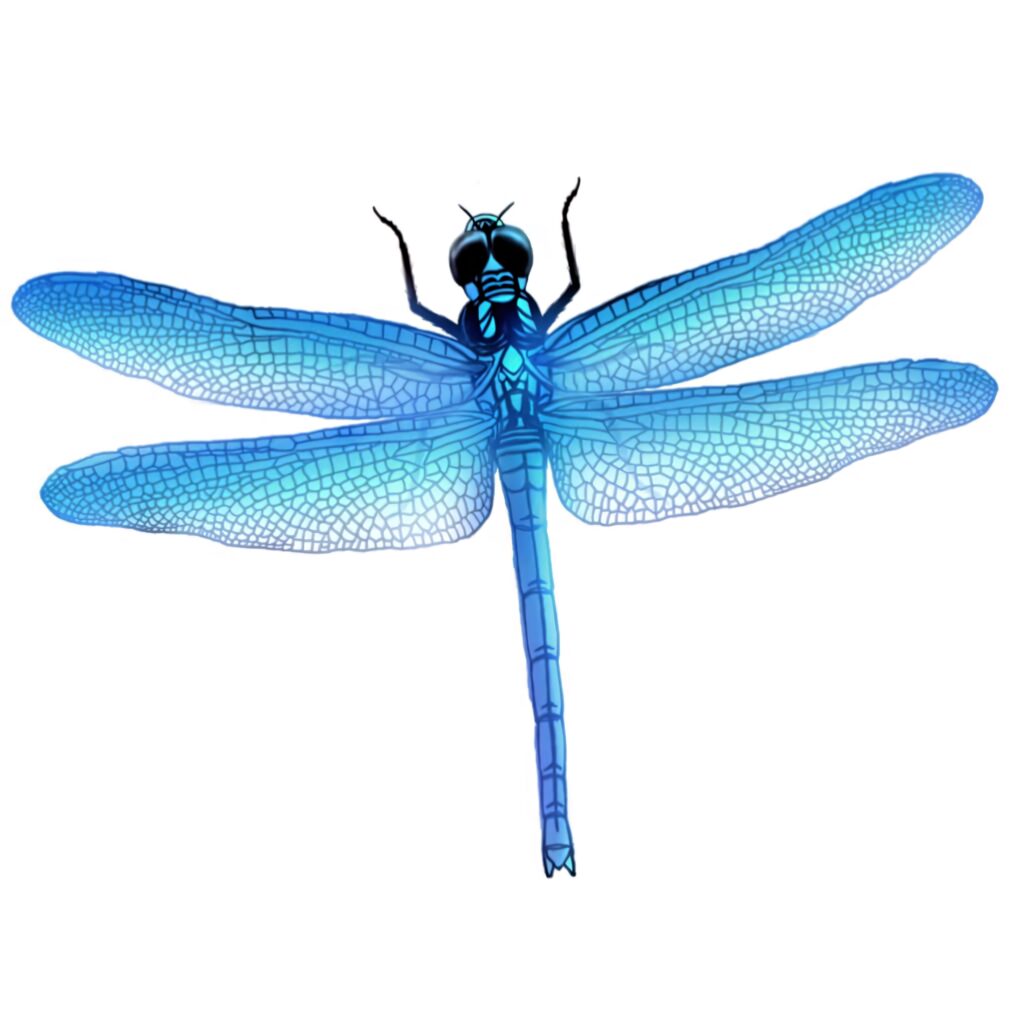 Stunning Blue Dragonfly Wallpaper: Intricate Wings & Ethereal Design