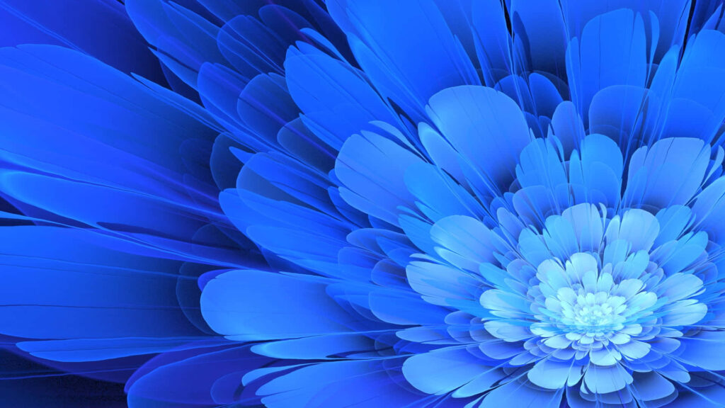 Stunning Animated Blue Flower Fractal Wallpaper | Apophysis Design