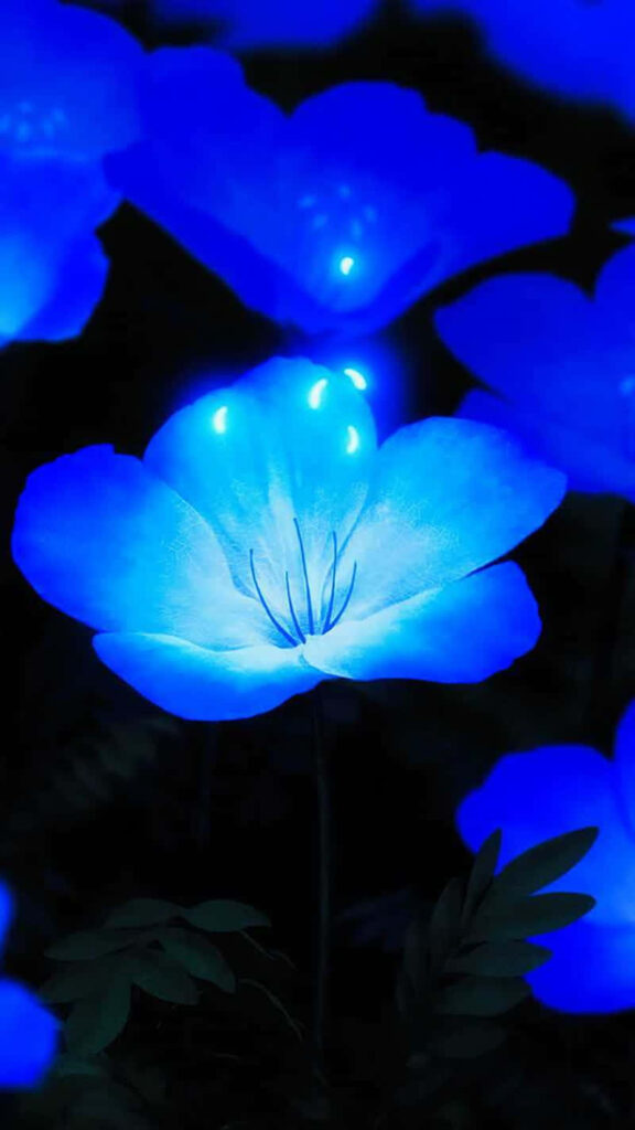 Glowing Blue Flower Wallpaper on Dark Background - Ethereal Beauty