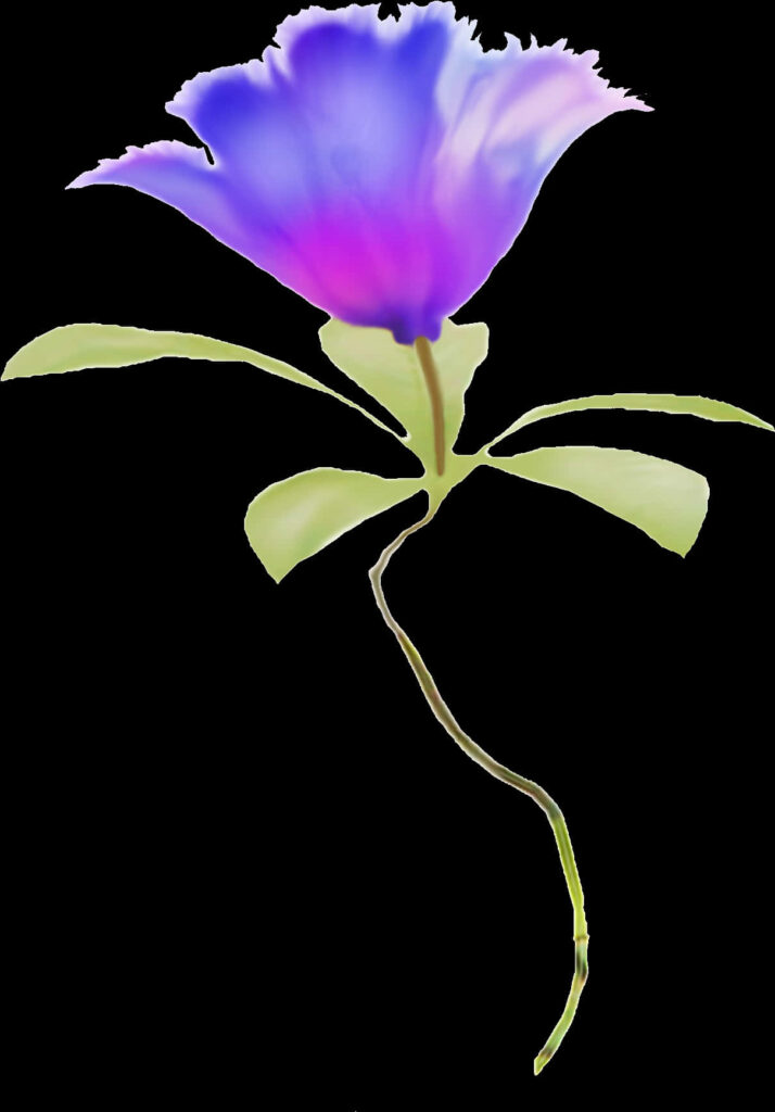 Delicate Flower Wallpaper: Blue-Purple Gradient on Transparent Background