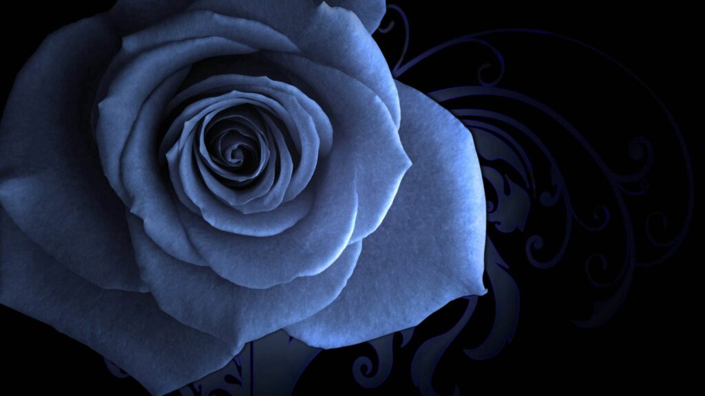 Beautiful Blue Rose Wallpaper: Intricate Patterns on Dark Background