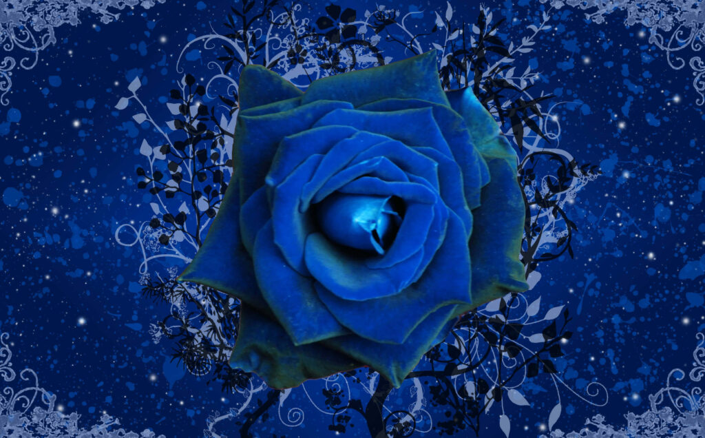 Stunning Blue Rose Wallpaper with Artistic Patterns on Starry Background