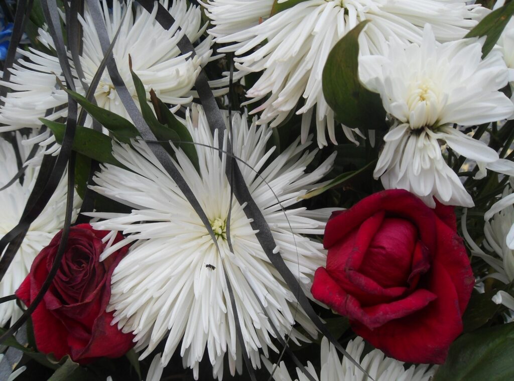 Vibrant Close-Up Bouquet Wallpaper: White Chrysanthemums & Red Roses