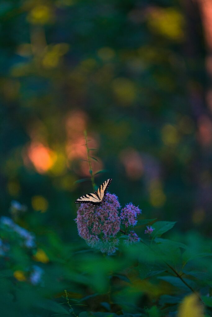 Elegant Butterfly on Vibrant Flowers in Tropical Paradise Background Wallpaper