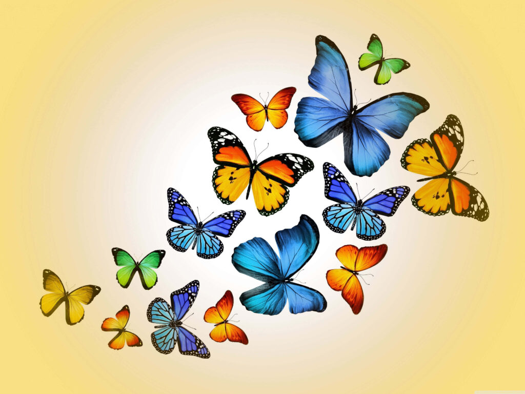 Stunning Butterfly Wallpaper: Vibrant Wings in Soft Sunlight