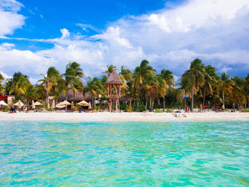 Tropical Beach Paradise: Crystal-Clear Waters & Palm Trees in Cancún Wallpaper
