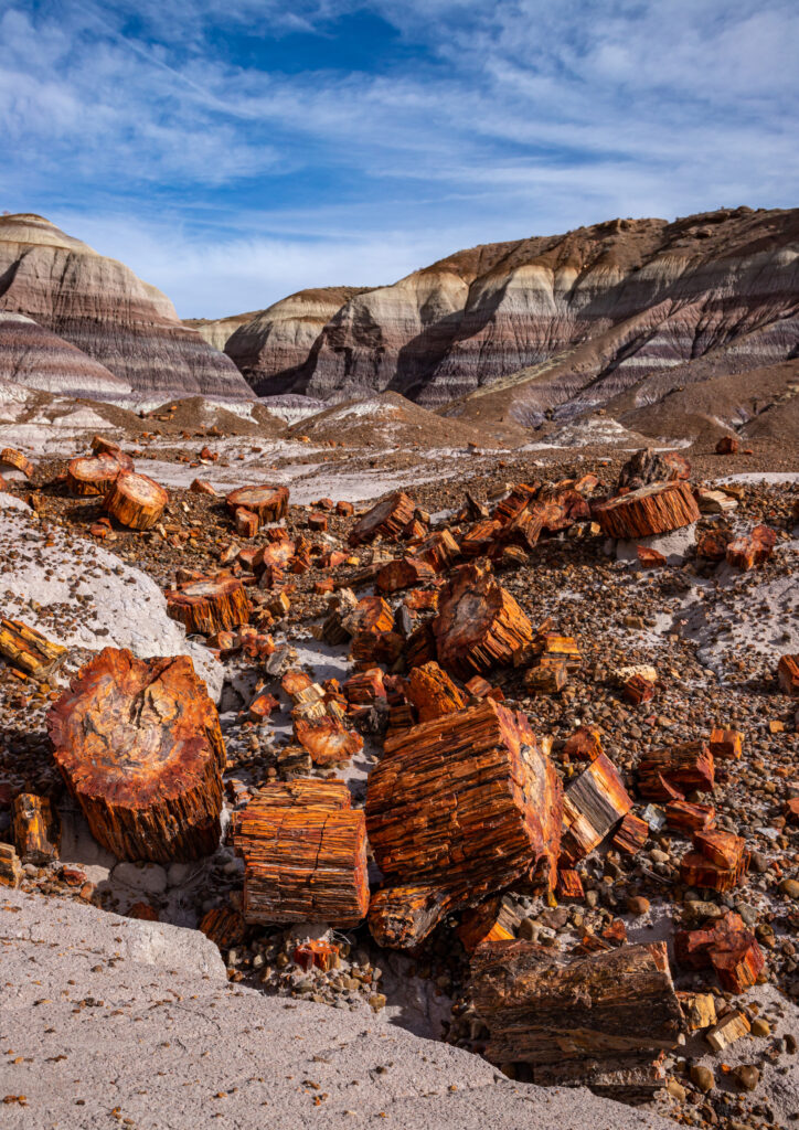 Vivid canyon landscape with layered rocks and reddish petrified logs under bright blue sky Wallpaper