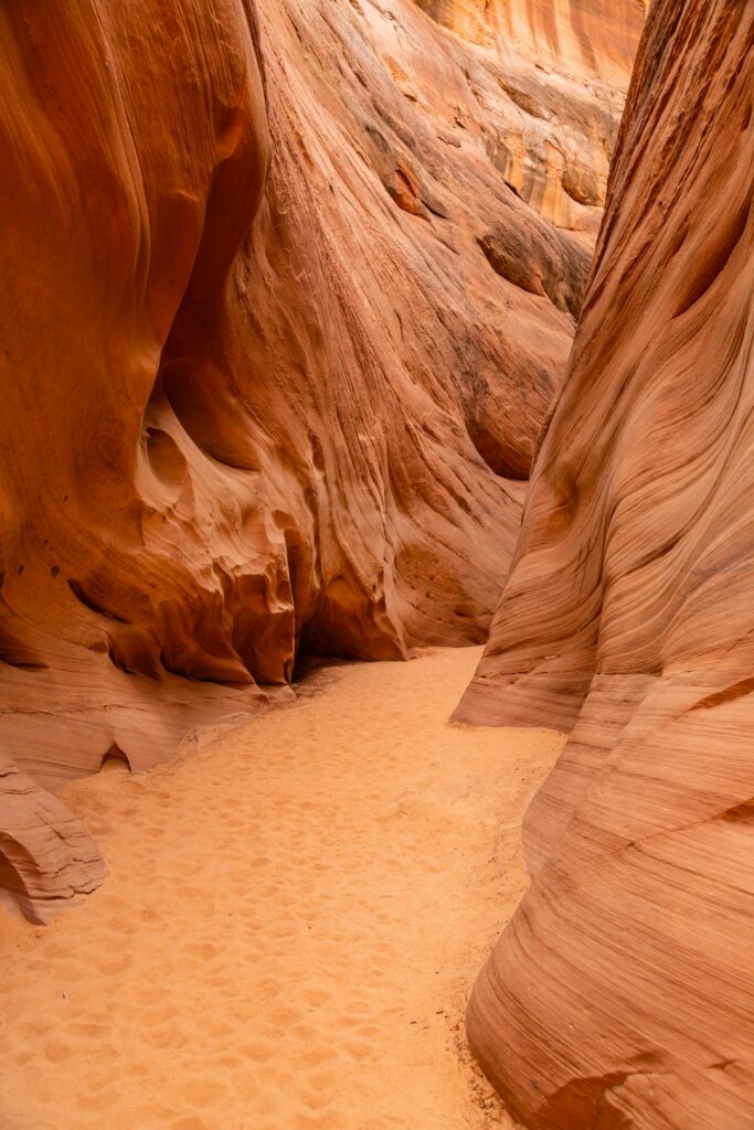 Natural canyon wallpaper with towering brown rock walls and winding gorge in warm earth tones