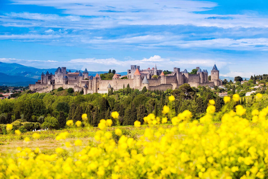 Stunning Carcassonne Fortress Wallpaper with Vibrant Rapeseed Fields