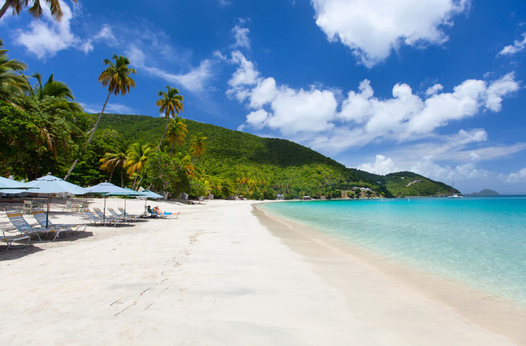 Serene Caribbean Island Beach Wallpaper: Turquoise Waters & Palm Trees