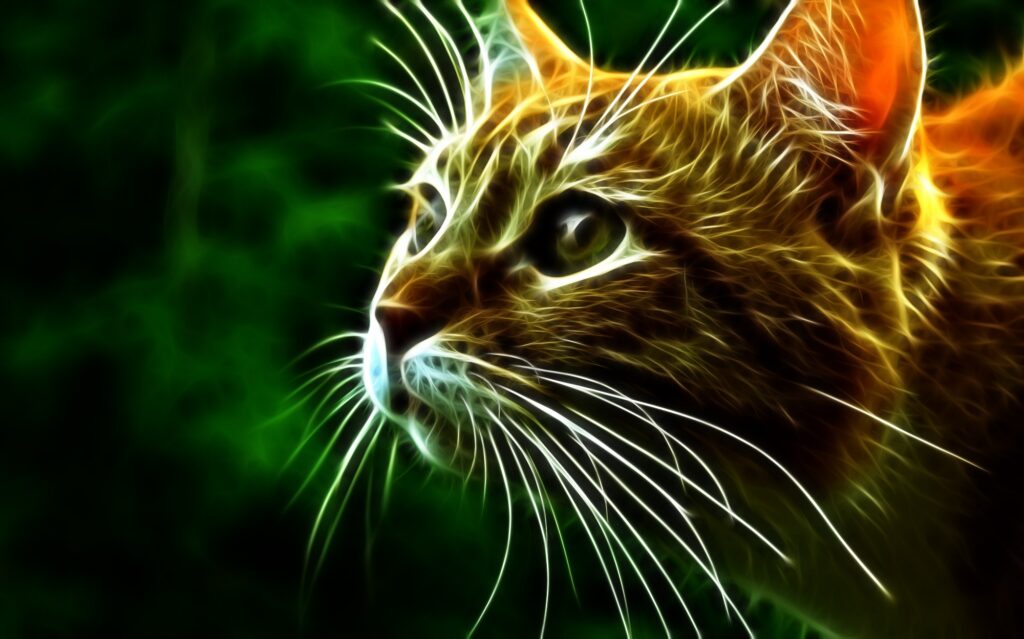 Stunning Cat Face Wallpaper: Intense Eyes & Whiskers on Green