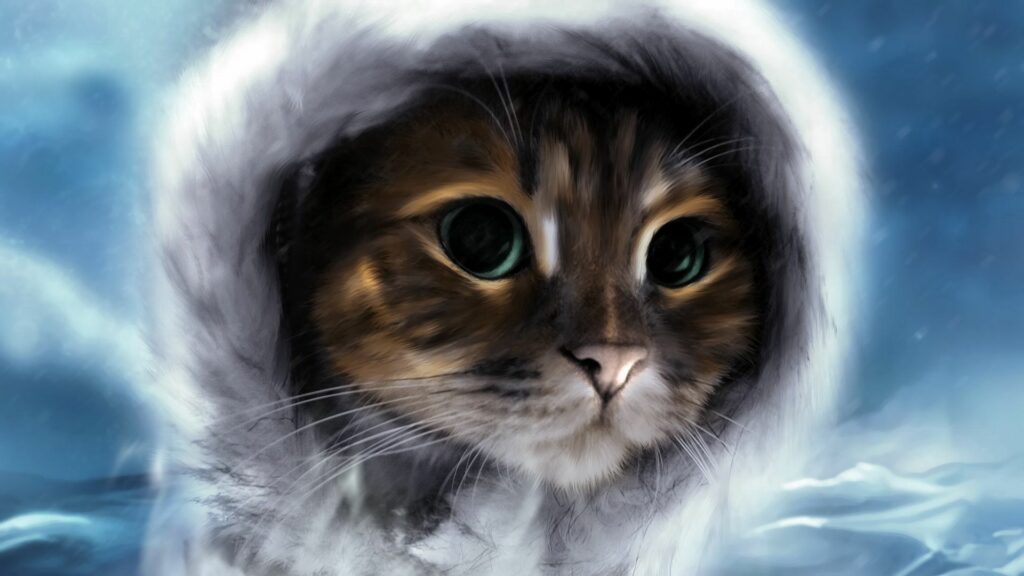 Close-Up Cat Face Wallpaper: Striking Eyes & Serene Winter Background