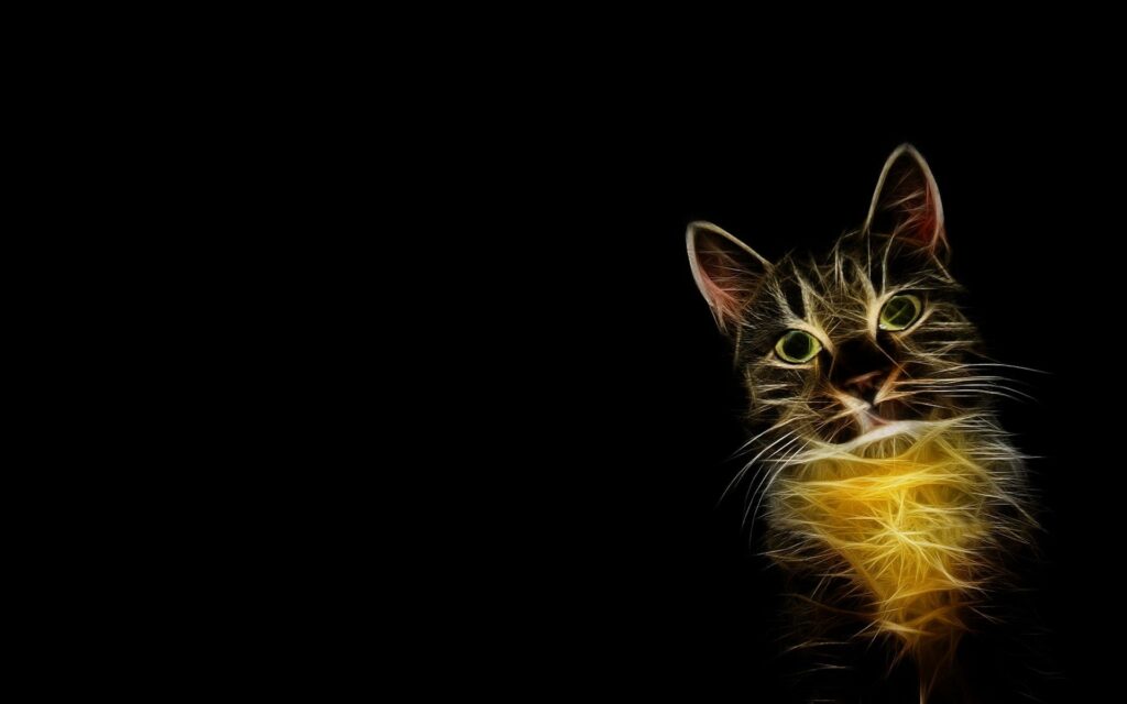 Striking Cat Digital Art Wallpaper - Bright Eyes on Dark Background