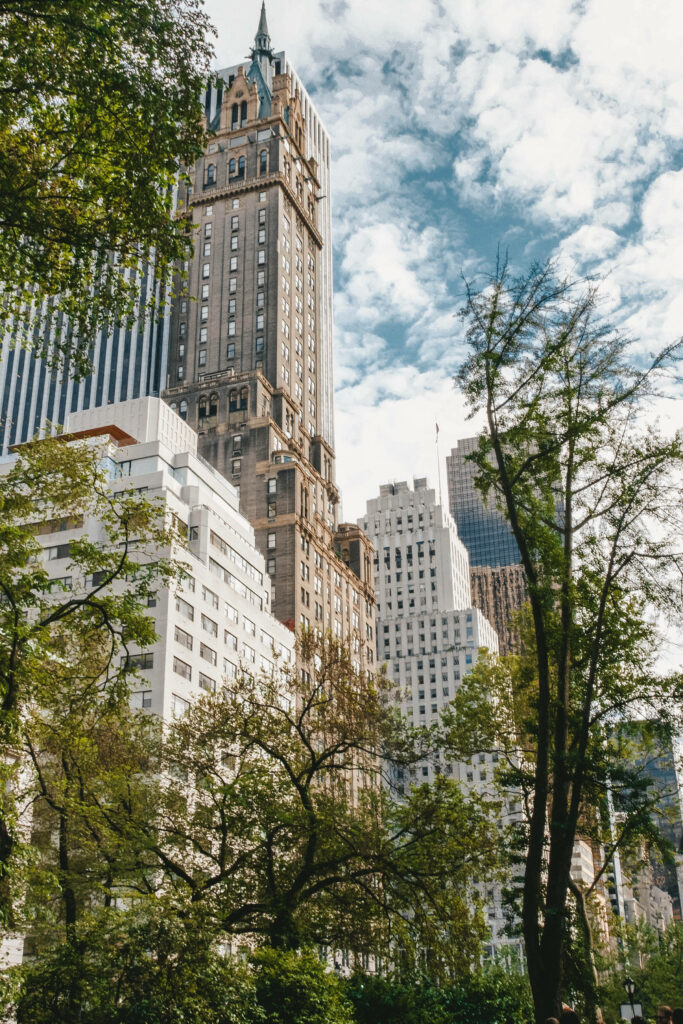 Stunning Central Park Wallpaper: Towering Buildings & Lush Greenery